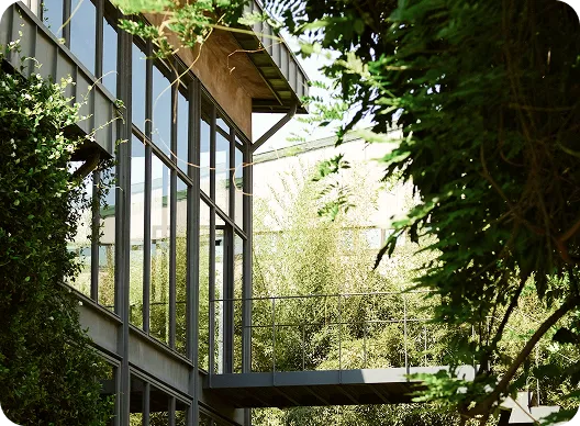 Verde & Natureza